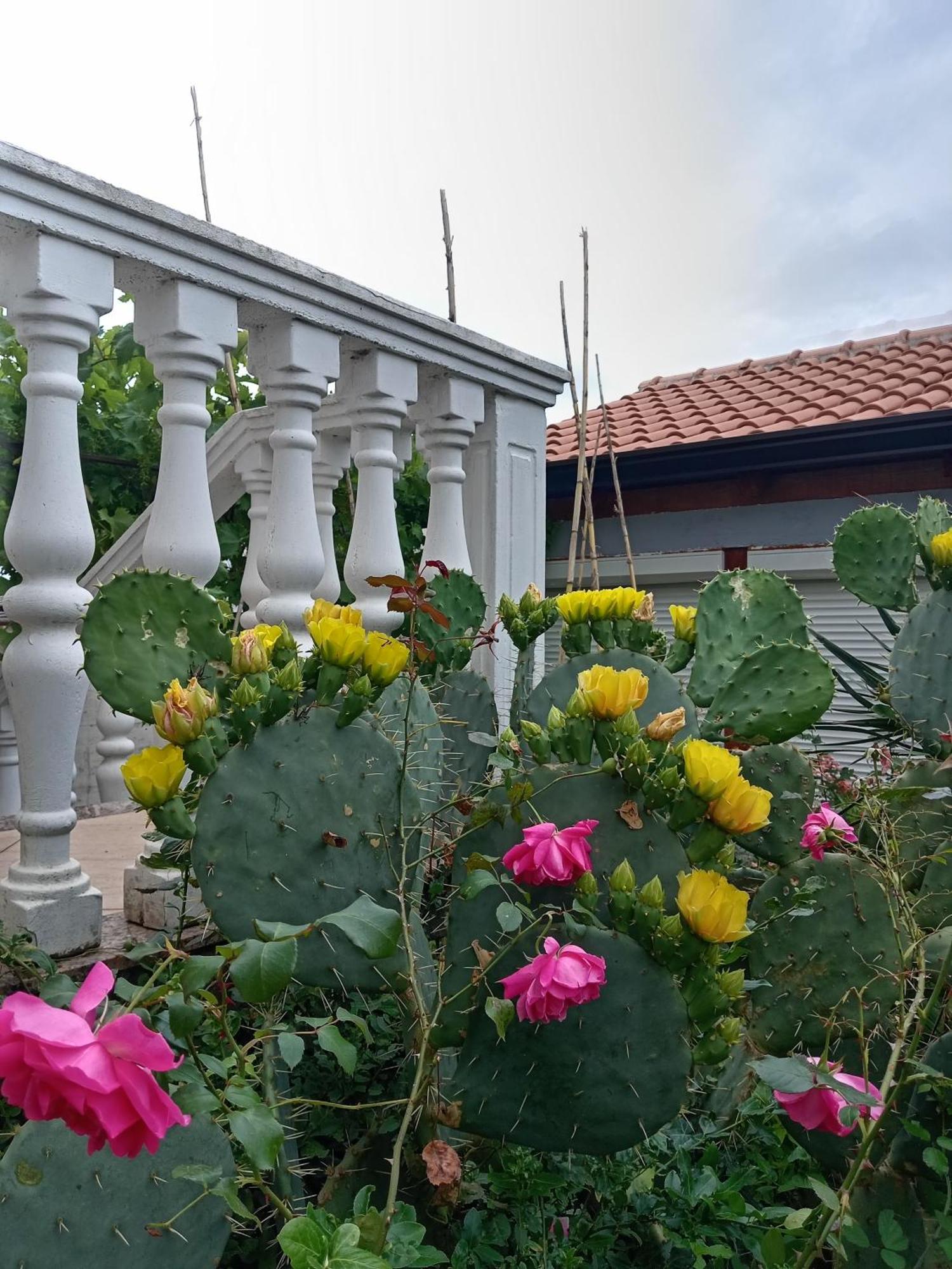 Lili Apartment Умаг Екстериор снимка